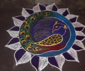 Peacock  kolam