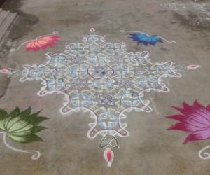 my chikku kolam