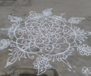 my white kavi rangoli