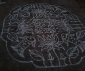 fish and lotus kolam