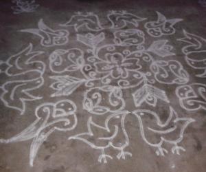 two bird kolam