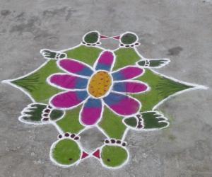 DD parrot kolam