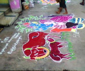 dd mattu pongal kolam collection