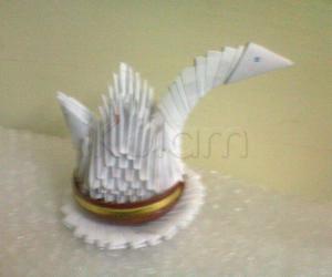 white swan with paper