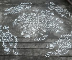 White chikku kolam with birds