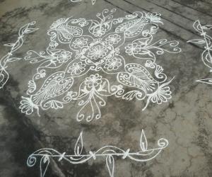 Daily kolam