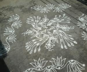 Simple peacock kolam