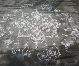 Simple white kolam....