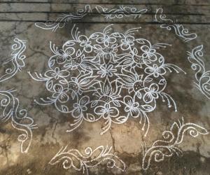 11to 6 interlaced dotted kolam....