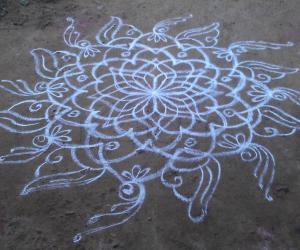 Rangoli with sangu kolam