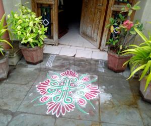 Daily kolam