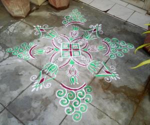 Daily kolam!