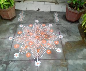 Daily kolam!