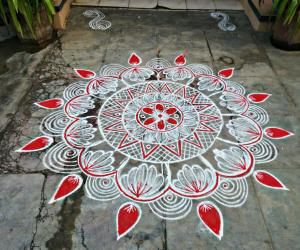 My daily kolam!