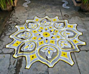 My daily kolam!