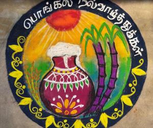 PONGAL RANGOLI 