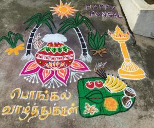 Pongal kolam