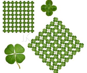 May the luck of the Irish rub on you today! 