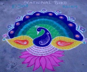 Rangoli: Proud Peacock