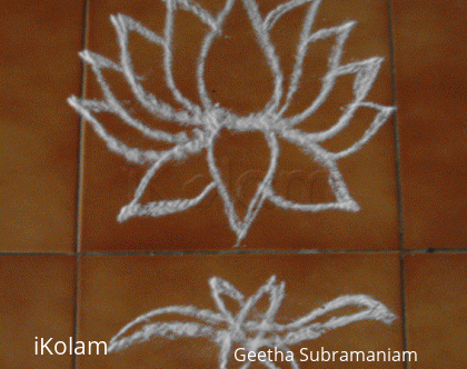 Rangoli: Lotus