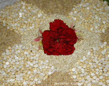 Rangoli: Pongal - rangoli with grains and pulses