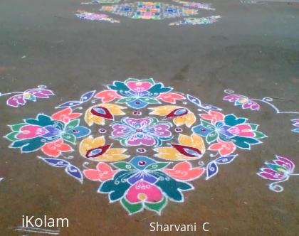 Rangoli: Flowers rangoli (sharu)