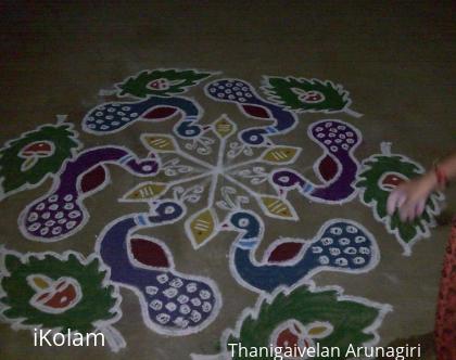 Rangoli: Rangoli kolam maragazhi thingal