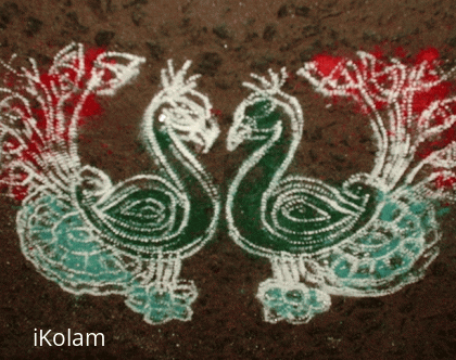 Rangoli: Pair of Peacocks