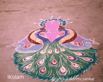 Rangoli: Three in One Rangoli