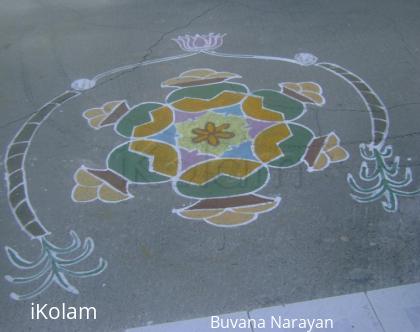 Rangoli: pongal