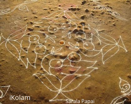 Rangoli: Birds