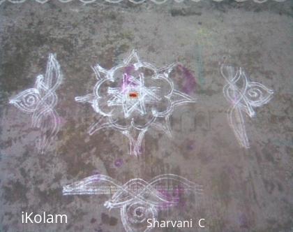 Rangoli: Design (sharu)