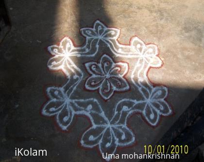 Rangoli: Uma's kolam