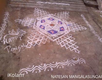 Rangoli: -pongal kolam 