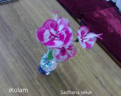 Rangoli: My first stocking flowers