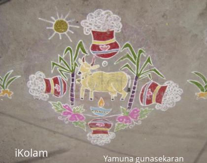 Rangoli: maattu pongal 2009