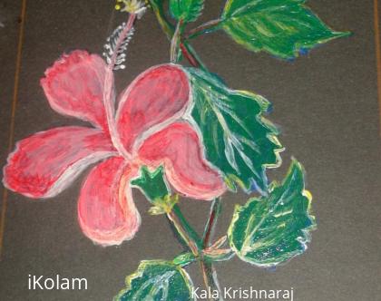 Rangoli: Hibiscus