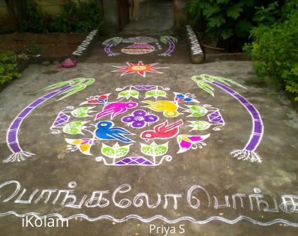 Rangoli: Pongal 2011