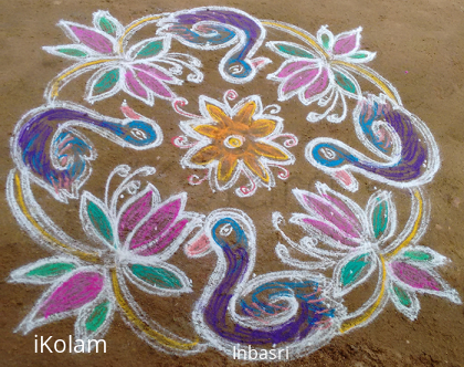 Rangoli: beauty swans 