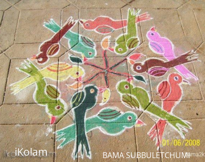 Rangoli: Group of birds rangoli