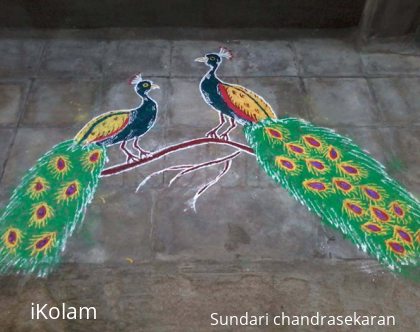 Rangoli: peacock rangoli