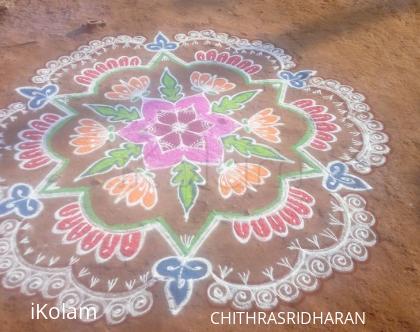 Rangoli: MARGAZHI KOLAM