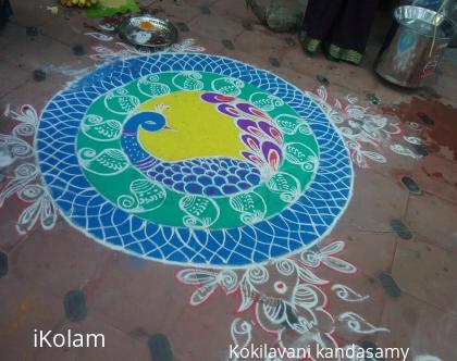 Rangoli: Peacock  rangoli