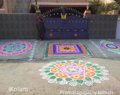 Rangoli: RANGOLI FOR THE DAY OF MATTU PONGAL (2013)