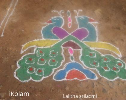 Rangoli: Peacocks