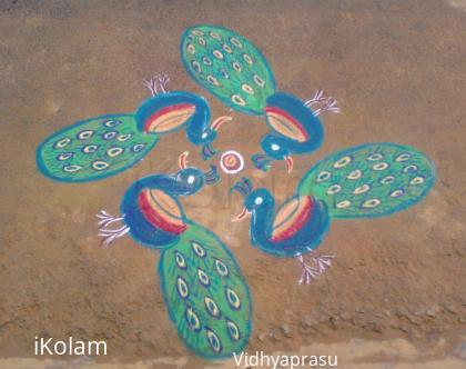 Rangoli: Lovely peacocks by my neighbour