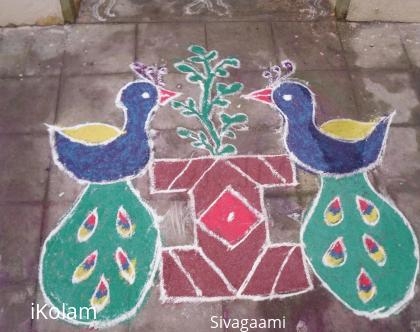 Rangoli: Twin peacock