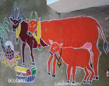 Rangoli: mattu pongal rangoli