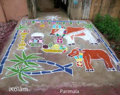 Rangoli:  Mattu Pongal kolam 