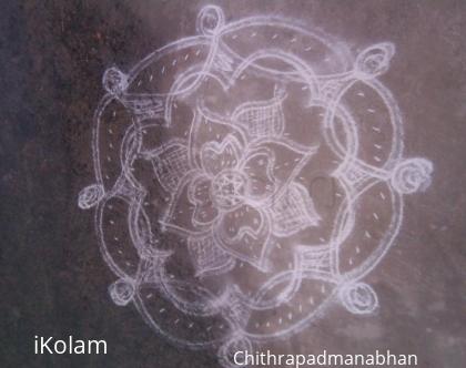 Rangoli: morning poo